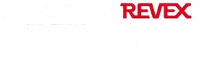 Logo av Nagoya Revex